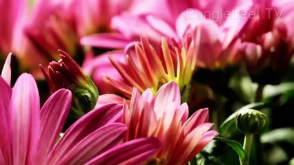 In the beginning God created the heaven and the earth