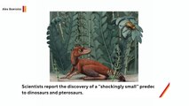 Scientists Discover Tiny Dinosaur Relative