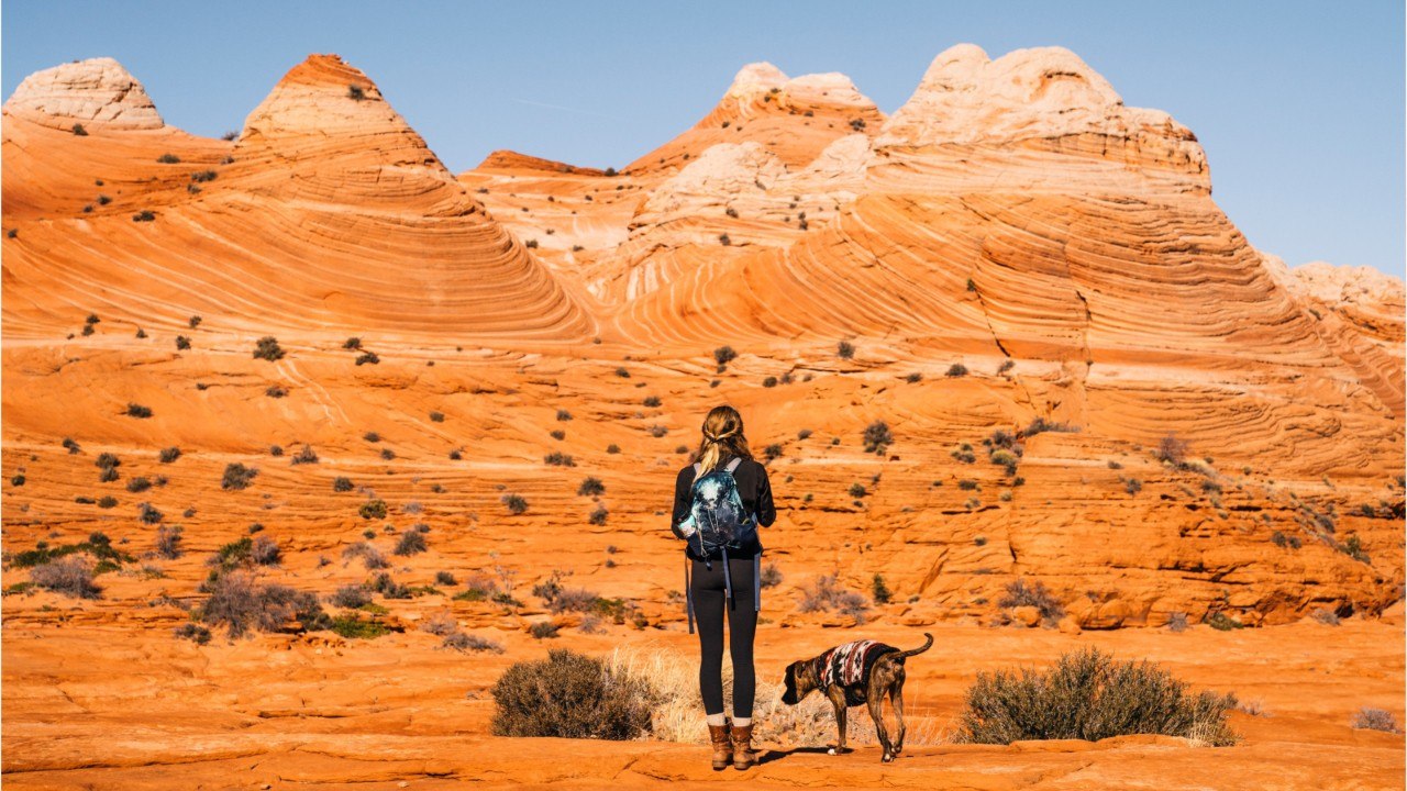 Rugged Individualism: ICE To Deport International Students If Universities Shift Online