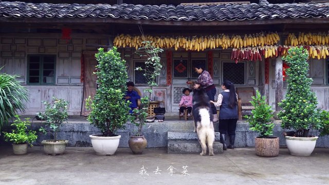 Amazing Chinese Cooking Recipes Delicacy Food - Dianxi 2020