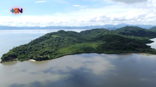 mqn-Mujeres-de-Isla-Chira-salen-adelante-con-ostras-060720