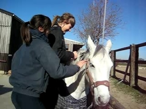 Stage été 2007 1160