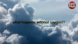 अगर ऑक्सीजन पाँच सेकंड के लिए गायब हो जाए तो क्या होगा| what happens without oxygen| Importance of oxygen