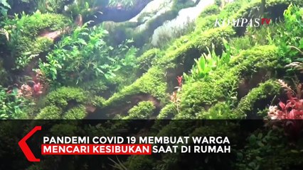 Peluang Bisnis Aquascape