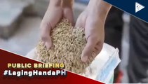 PRRI, namamahagi ng libreng certified seeds sa pamamagitan ng rice competitiveness enhancement fund