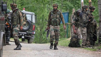 Télécharger la video: Jammu Kashmir: 1 terrorist killed in encounter in Pulwama