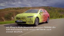 Virtuelle Premiere des ŠKODA OCTAVIA RS und OCTAVIA SCOUT