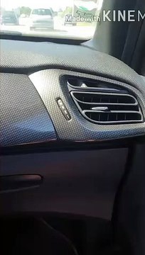 Un taureau dans une 206 CC (Camargue)