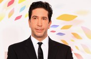 David Schwimmer admits Friends reunion is 'very tricky' to pull off in pandemic