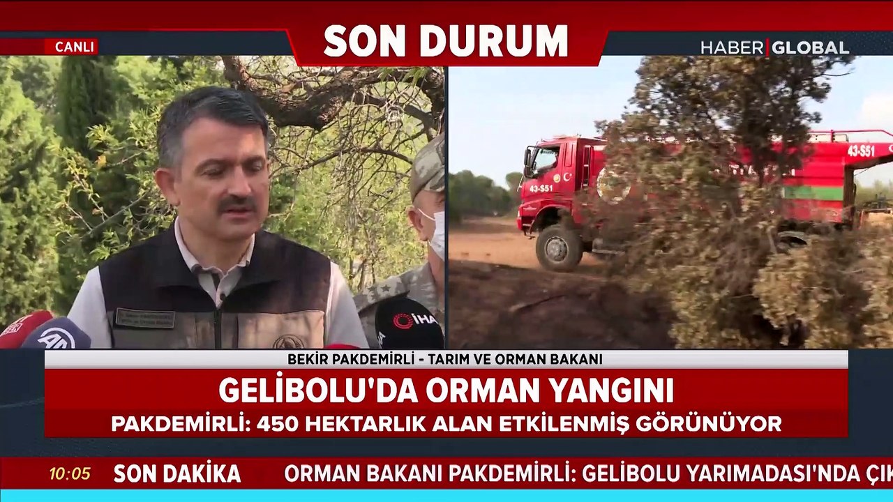 Bakan Pakdemirli'den 'Gelibolu' açıklaması: Yangın kontrol altında