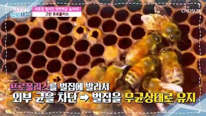 면역력 높여주는 녹색 가루 『○○○○○○○』 정체는?