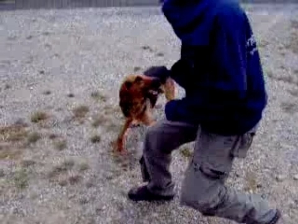 rencontre sauvage dans l'aude