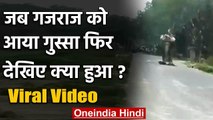 Viral Video: UP के Fatehpur में बेकाबू हुआ हाथी, तो बाइक को यूं कुचलकर फेंका | वनइंडिया हिंदी
