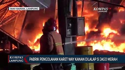 Pabrik Pengolahan Karet di  Kabupaten Way Kanan Dilalap Si Jago Merah