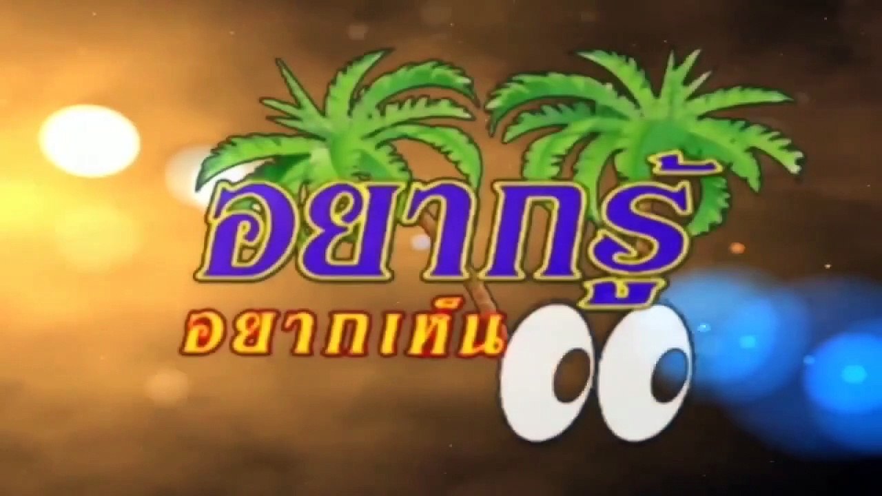 รายการ อยากรู้อยากเห็น (เกาะสมุย) ตอน ตามรอยคุณพ่อ ตอนที่ 3