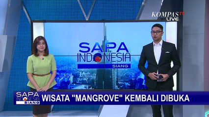 Indah! Wisata Alam Mangrove Kini Sudah Mulai Dibuka