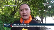 Orangutan Sumatera Dilepasliarkan