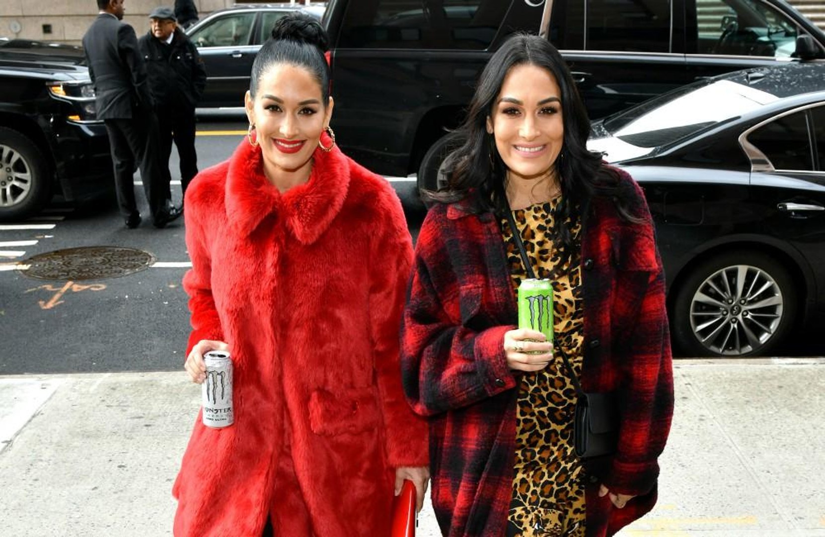 ⁣Totally Twinning: Brie and Nikki Bella have had 'identical' pregnancies