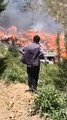 Korkunç yangına köylüler ve ekipler müdahale ediyor! Artvin'de çok sayıda ev alevlere teslim oldu