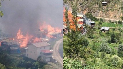 Artvin'in Yusufeli ilçesinde yangın