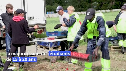 Coronavirus: les Finlandais à la rescousse des cueillettes en manque de bras