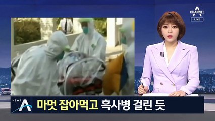 중국·몽골 흑사병 비상…야생동물 ‘마멋’ 감염원 지목