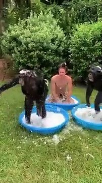 Il s’amuse avec des animaux sauvages comme Tarzan