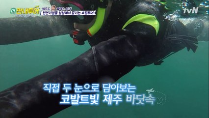 ′호핑투어′ 물 속 입수! 눈 앞에 펼쳐진 코발트빛 제주 바닷속♥