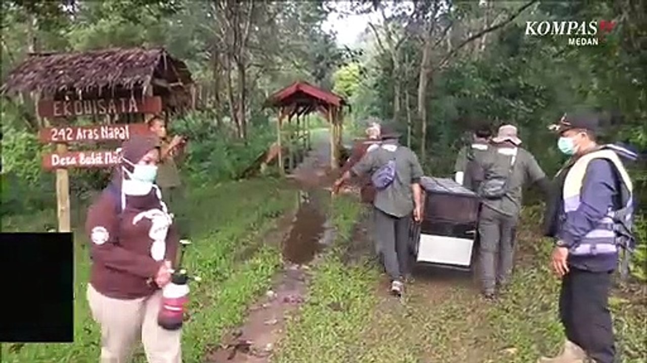 Maria Jangan Kembali Lagi !!