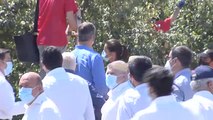 Los reyes visitan una plantación hortofrutícola en Cieza (Murcia)