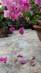 Free slow motion video for youtube chanel