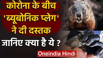 Coronavirus के बीच China में Bubonic Plague ने दी दस्तक, जानिए कितना खतरनाक? | वनइंडिया हिंदी