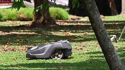 Igel durch Mähroboter bedroht
