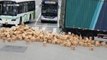 Boxes of Chinese liquor scatter across road after truck's trailer door opens