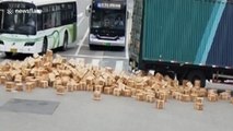Boxes of Chinese liquor scatter across road after truck's trailer door opens