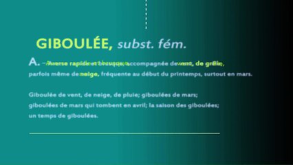 TOUT SAVOIR : LES GIBOULÉES