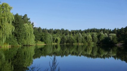 Sonidos para dormir profundamente relajado