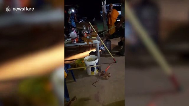 Buddhist monks terrified after cobra slithers past his feet while playing computer