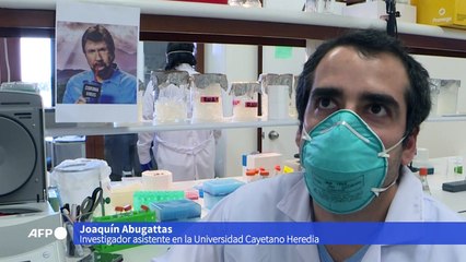 Científicos peruanos buscan producir en masa un test rápido de covid-19