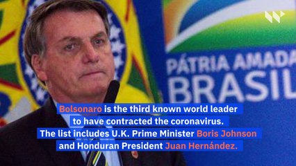 Brazil's President Bolsonaro Tests Positive for Coronavirus