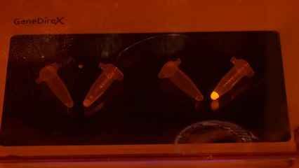 은 나노 덩어리가 '형광' 띠는 수수께끼 풀었다 / YTN