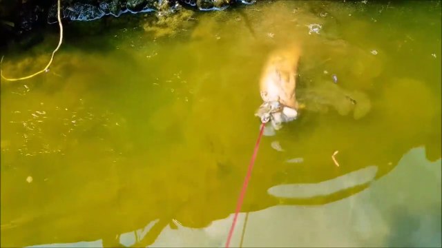 Ce qu'il va sortir de ce trou dans une rivière est incroyable