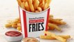 KFC Has New 'Secret' Fries Covered In Its Famous Herbs And Spices