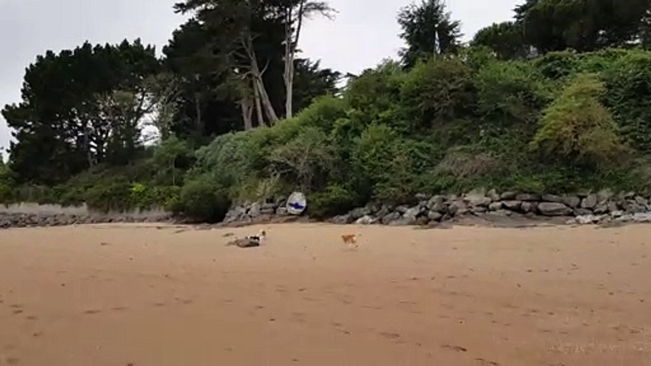 Sur la plage 5 juillet