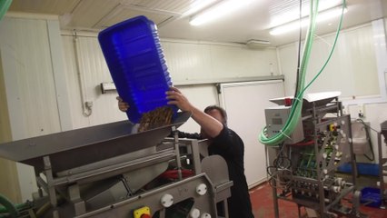 La machine révolutionnaire, pour décortiquer les crevettes