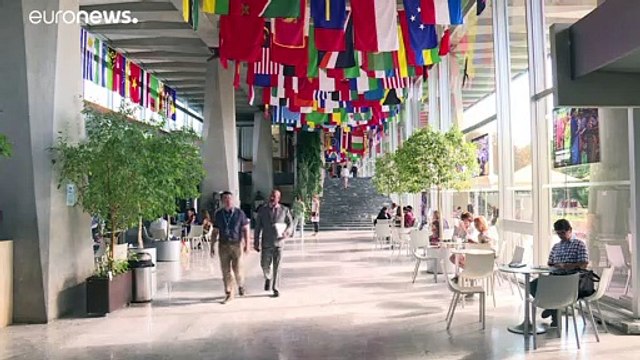 Estados Unidos anuncia su salida de la Organización Mundial de la Salud