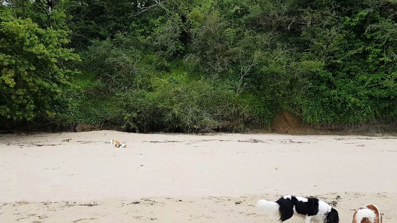 Dans le sable