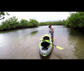 DONDE VAN LOS LOCALES 2