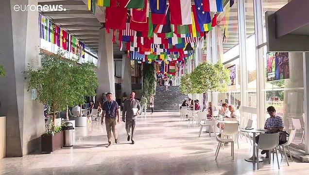 США начали выход из ВОЗ