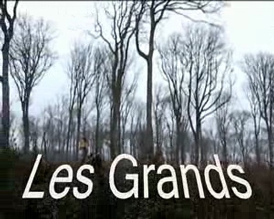 CHENE VIDEO 3
